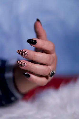 Wild Print